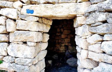 Le Picholine - Foto 23