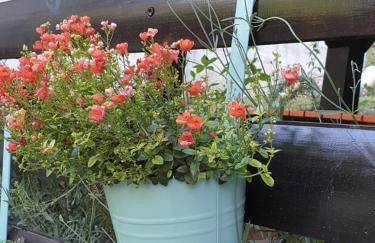 Vila Ema-kuća za odmor - Foto 22