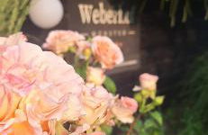 Weberhof-Münster 2 - Foto 30