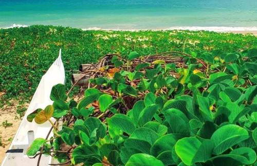 Apto 203- Itaipava a 60 m da praia - Photo 2