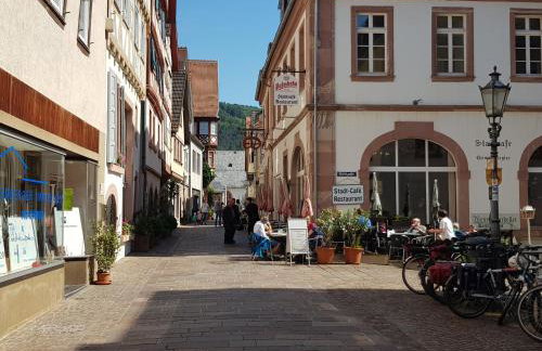 Zauberhafte Wohnung in der Nähe von Heidelberg, top Lage - Foto 41