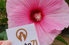 Gîte de la Maison du L.A.C - Foto 29