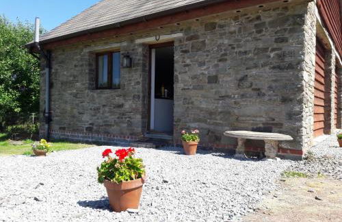 Holiday Home Haus in Crickadarn mit Parkplatz und Bergblick by Interhome - Foto 1