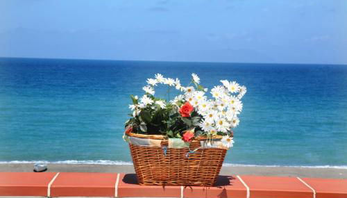 Vacanze al Mare Patrizia's Sweet Home - Foto 2