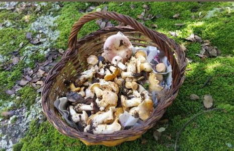 Refugio rural con encanto en el Pirineo - Foto 42