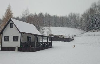 Wiśniowe Zacisze - Agroturystyka - Photo 58