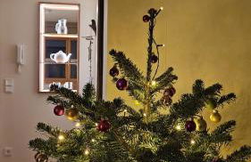 Traumplatz im Allgäu - Foto 26