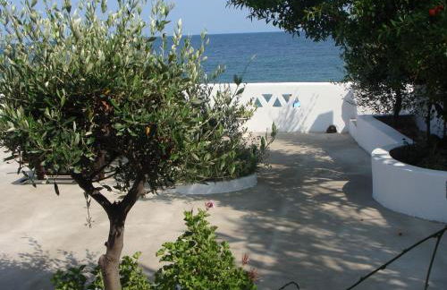 ΠΑΡΑΘΙΝ ΑΛΟΣ 2 - Photo 38