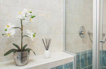 Traumhafte Ferienwohnung im Luisenhof - Foto 12