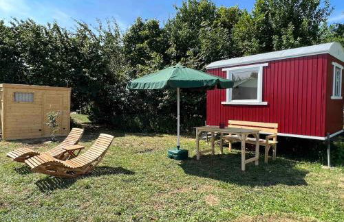Bauernhof Glamping mit Alpakas und Ziegen - Foto 19