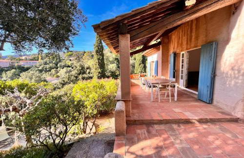 La Mandarine - Foto 5