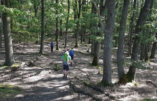 "moseltor" Comfortable Holiday Residence - Foto 79