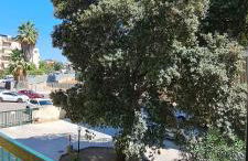 ANNINA'S Home - Foto 18