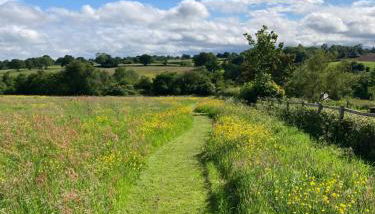 The Shepherd's Hut with cozy logburner - Foto 4