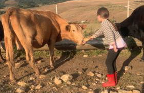 Cabana Recanto dos Aparados - Foto 18
