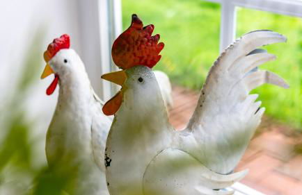 Alte Schule unter Reet- Klassenzimmer - Foto 16