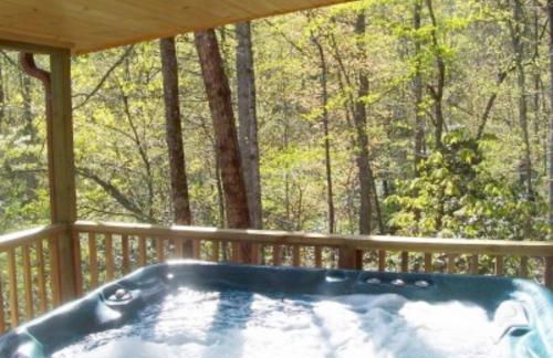Cabin on the Hill-Peaceful 1BR 20-Acre Rural Retreat-HotTub&WiFi near Asheville - Foto 1
