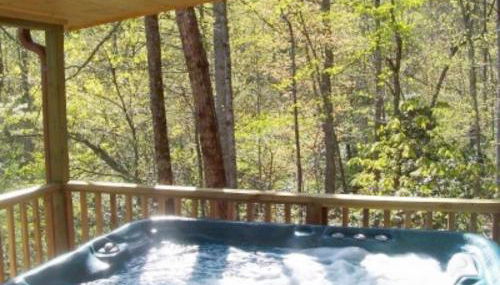 Cabin on the Hill-Peaceful 1BR 20-Acre Rural Retreat-HotTub&WiFi near Asheville - Foto 1