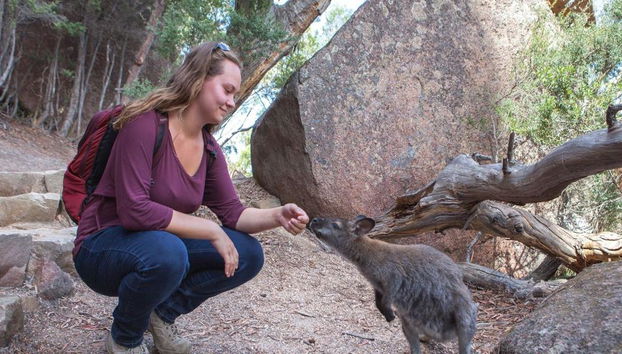 Wineglass Bay e Parque Nacional Freycinet - Foto 3