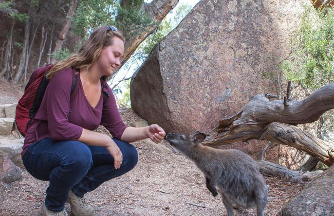 Wineglass Bay e Parco Nazionale di Freycinet - Foto 3