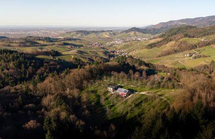 s'Lähmes auf der Schwend - Foto 28