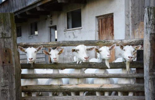 App Unterhoezlhof - Foto 31