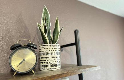 The Hummingbird at Zen Zion - Photo 7