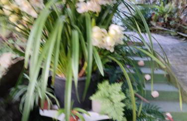 Casa GRENADO - Foto 48