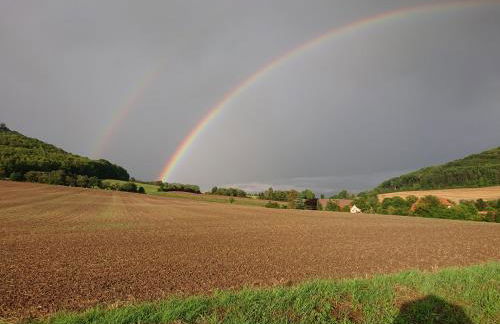 Im Buchenwäldchen - ruhig gelegenes Haus in der Natur für bis zu 12 Personen - Foto 33