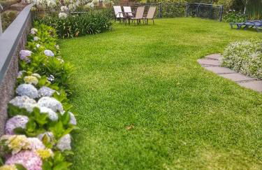 Lucilia's House - Foto 24