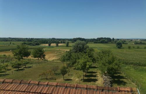 Apartman ŠIPA - Foto 2