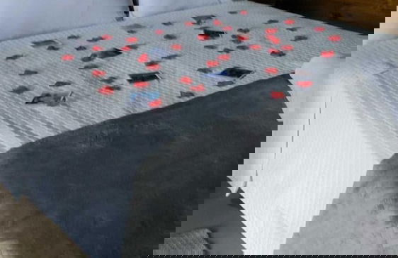 Vila Vicença Natural Refuge - Photo 11