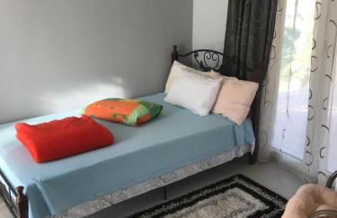 Mountain House near Pyrgos Ilias - Photo 15