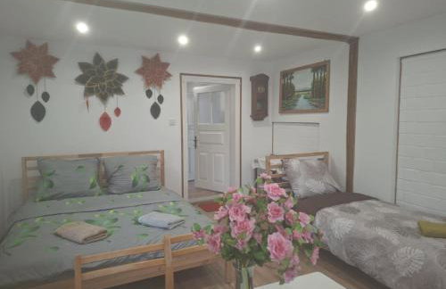 Agroturystyka Przy Rajskim Sadzie - Foto 8