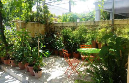 Seafront apartment ΙΙ in Kiveri, near Nafplion. - Photo 39