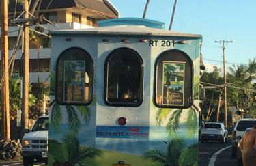 Beach Villas at Kahalu'u - Foto 45