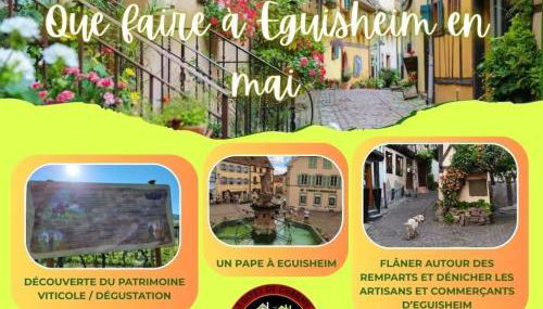 Gite Edelweiss à Eguisheim - Foto 4