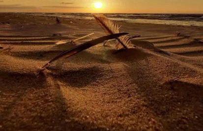 Szare Stodoły Domki - Foto 40