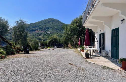 Villa tranquilla immersa nel verde a 2 Km dal mare - Foto 46