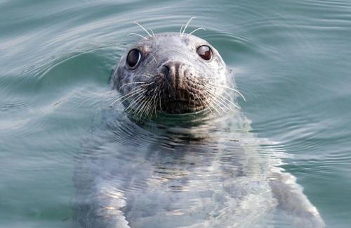 Brookside Apartment - Foto 33