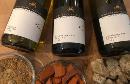 Apartment in Landau Stadtoase - Foto 18