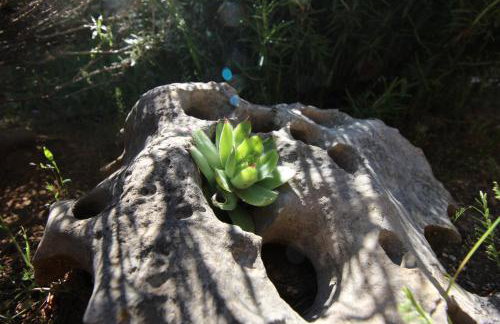 Stone house Skrivena - Foto 23