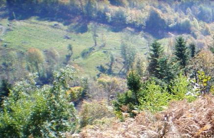 Appartement charmant à Plancher-les-Mines 40 m² avec jardin - Foto 21