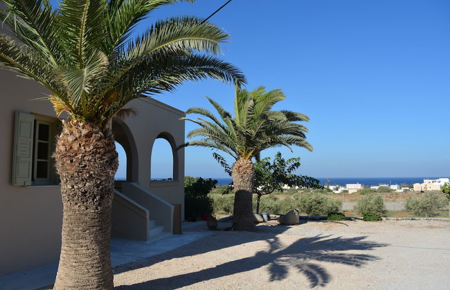 Olive Villa fully renovated house - Photo 13