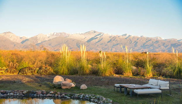 Vignes du Vignoble Giménez Rilli
