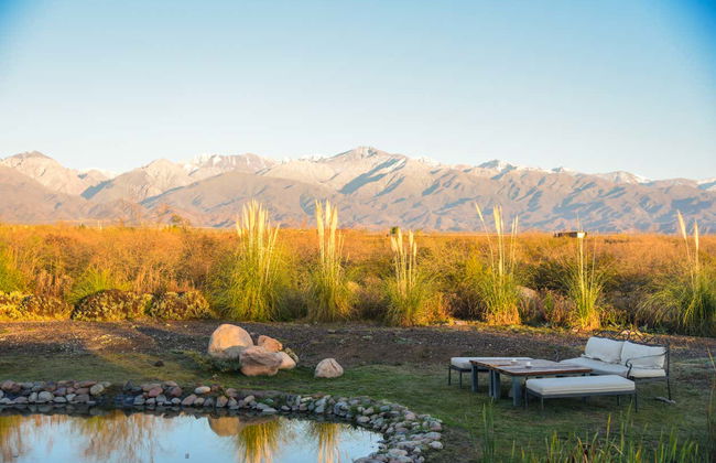 Tour nel sud della zona vitivinicola della Valle de Uco - Foto 4