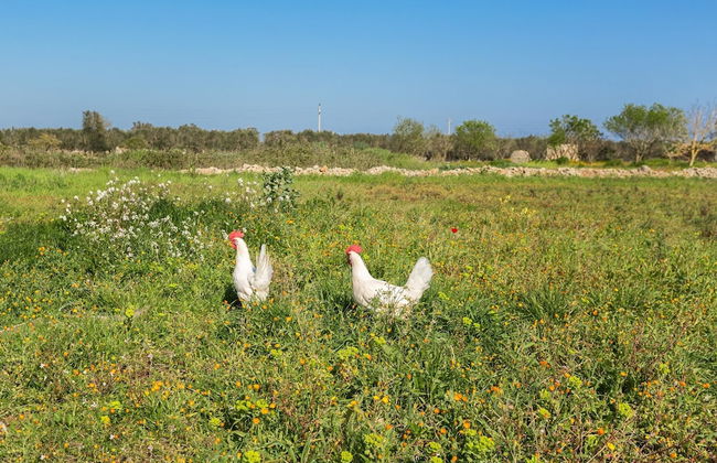 Villetta Evelyn - Foto 20