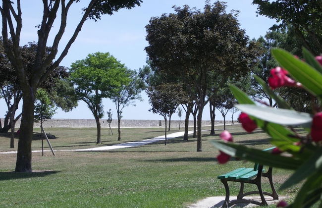 Maison Antioche - Foto 9