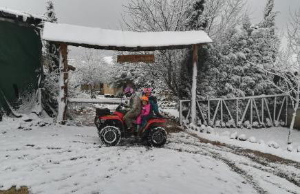 Cabañas Buenache - Foto 21