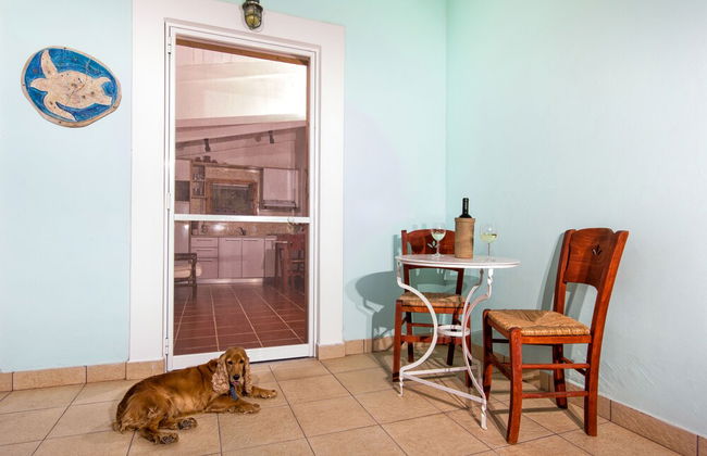 Liuba Houses - Foto 59